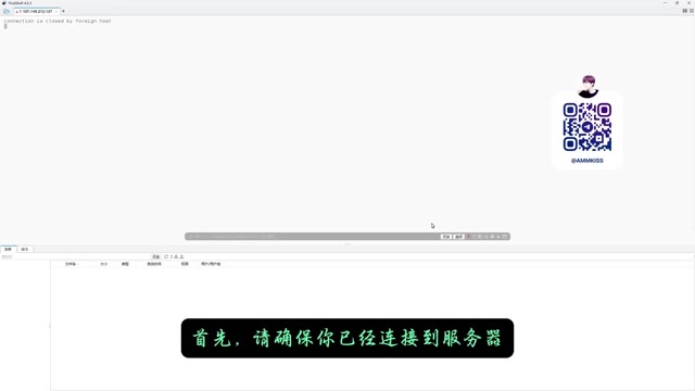 全自动快速搭建多IP站群SK5/SOCK